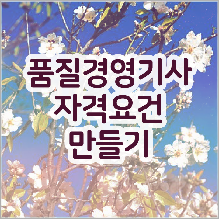  품질관련자격증 품질경영기사 응시조건 인강만 듣고 간단하게 끝낸 후기