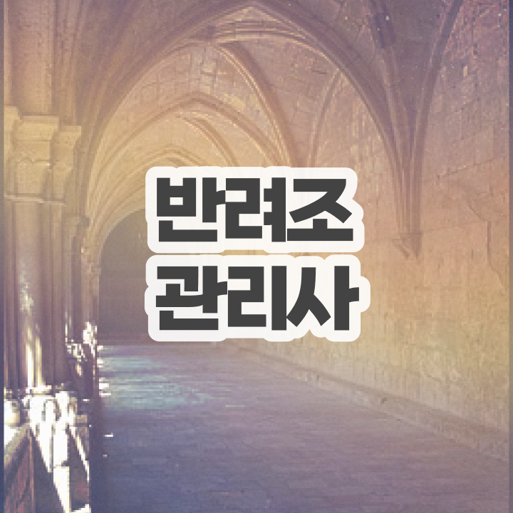  코뉴어 앵무새 종류 , 반려조관리사 자격증 취득한 정보 여기만 보세요