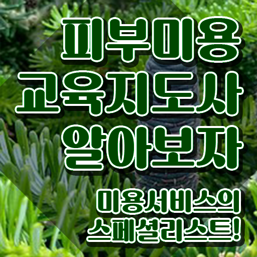  피부관리사 , 피부미용교육지도사 자격증 비용없이 온라인으로 취득한 노하우 및 취업