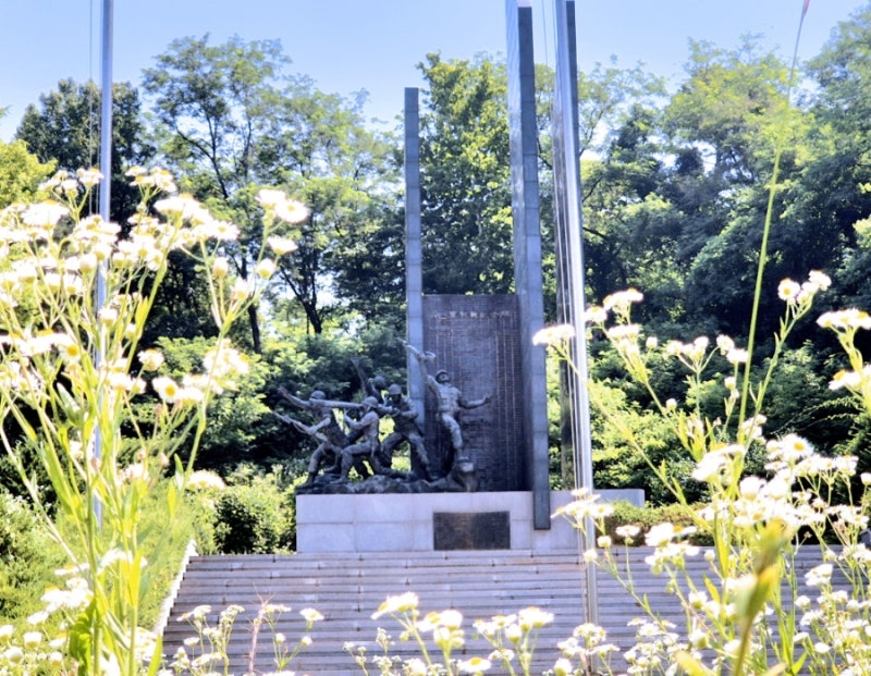 사진 5