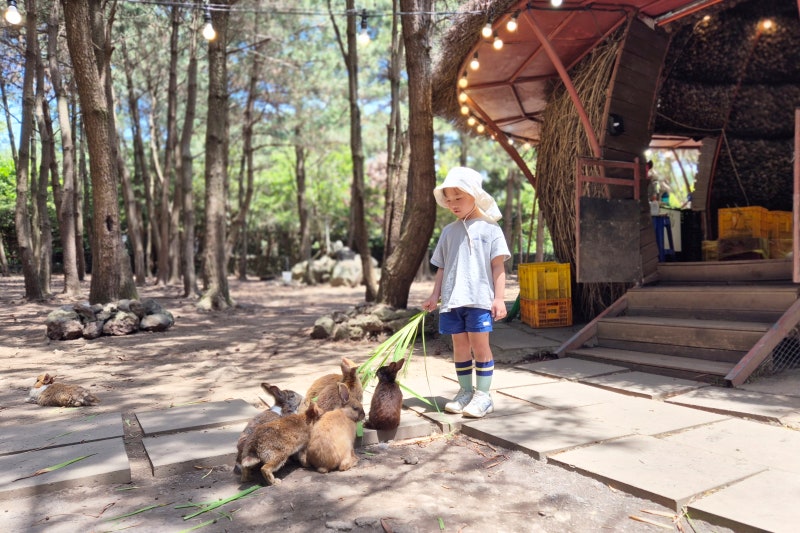 사진 6