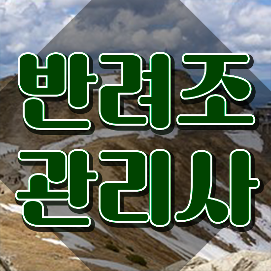  모란앵무새분양 , 반려조관리사 자격증 15일 만에 준비한 방법 및 향후 전망