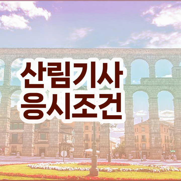  산림기사 합격률 산림기사 시험자격 집에서 온라인으로 간편하게 성공한 비법