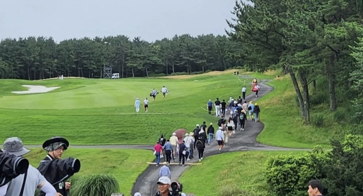 제주도<b>골프</b> <b>박인비</b>가 선택한 더시에나cc 찐후기