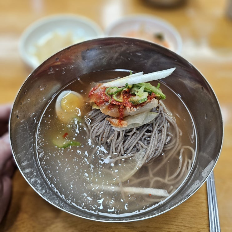  동두천 평남면옥 독특한 평양냉면 백반기행 동두천 밥상