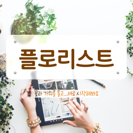  꽃꽂이 원데이클래스 , 플로리스트 자격증 단기간에 취득한 정보 , 이후 전망