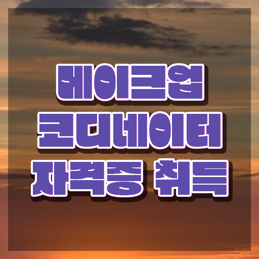  메이크업 국가자격증 독학 , 메이크업코디네이터 자격증 합격한 전략 완벽 정리