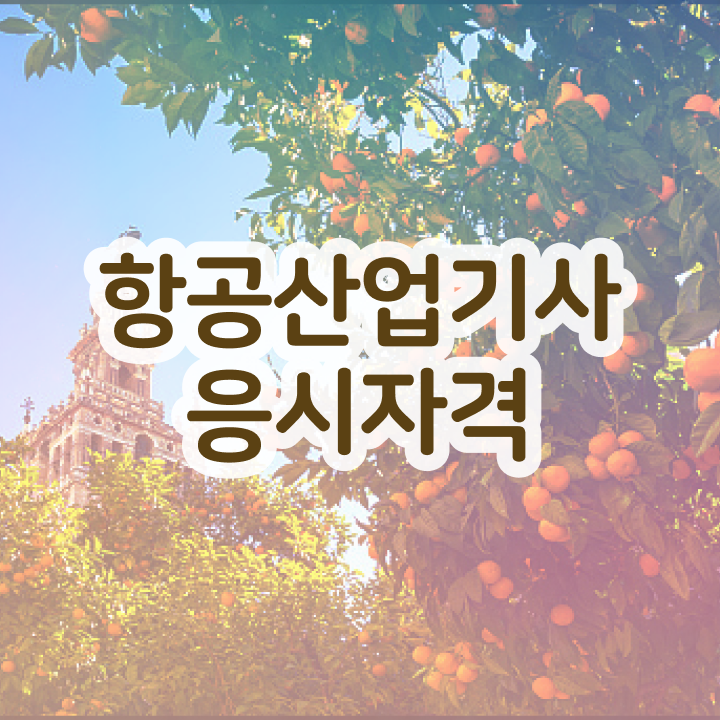  항공산업기사 응시자격 항공산업기사 취득자격 온라인 과정으로 5개월 만에 끝낸 노하우