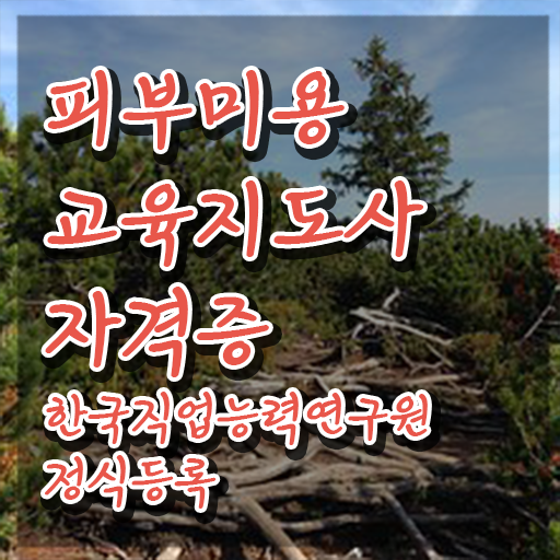  피부관리사 , 피부미용교육지도사 자격증 합격한 팁 최단기간 취득한 과정