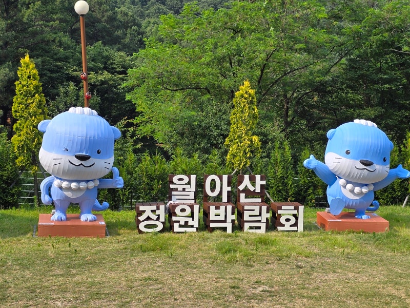 사진 3