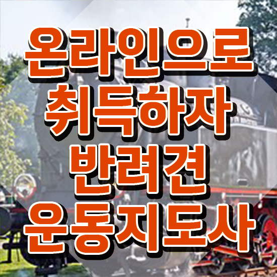  동물보건사 자격증시험 , 반려견운동지도사 인강만으로 실무경력 없어도 간편하게 완료한 비법