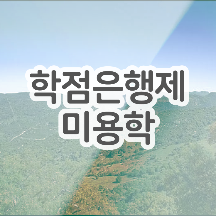  사이버 미용학과 과정 준비 안해도 , 헤어자격증 갖출 수 있어요