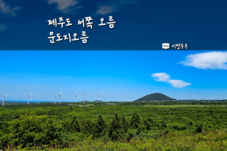  걷기 쉬운 제주도 오름 문도지오름 말 볼 수 있는 오름