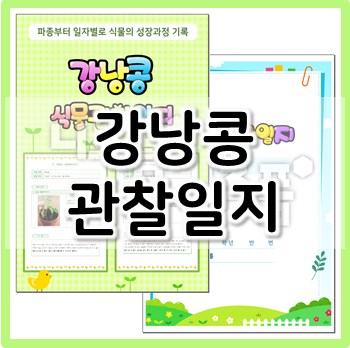 강낭콩 관찰일지, 식물의 한살이를 기록해요!