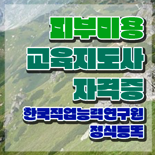  피부미용사 자격증 , 피부미용교육지도사 자격증 합격한 전략 정보 가득