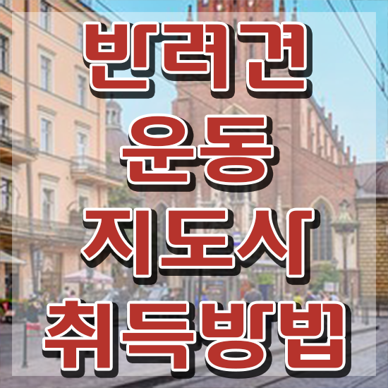  40대주부취업 , 반려견운동지도사 초단기 준비하는 노하우