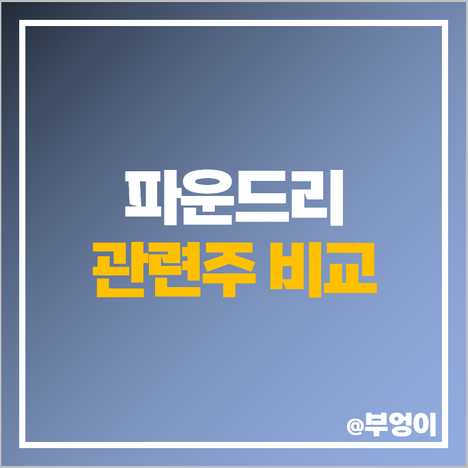 반도체 파운드리 관련주 DB하이텍 에스앤에스텍 주가 삼성전자 주식 반도체 파운드리 관련주 DB하이텍 에스앤에스텍 주가 삼성전자 주식