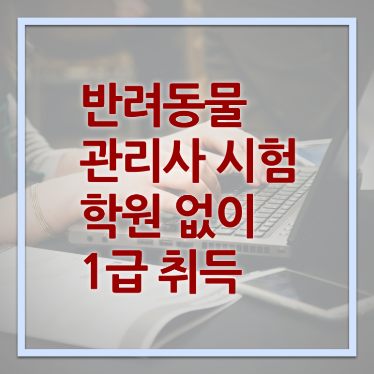  오산 강아지 훈련사 , 반려동물관리사 자격증 독학으로 취득한 정보 정보 퍼펙트 요약