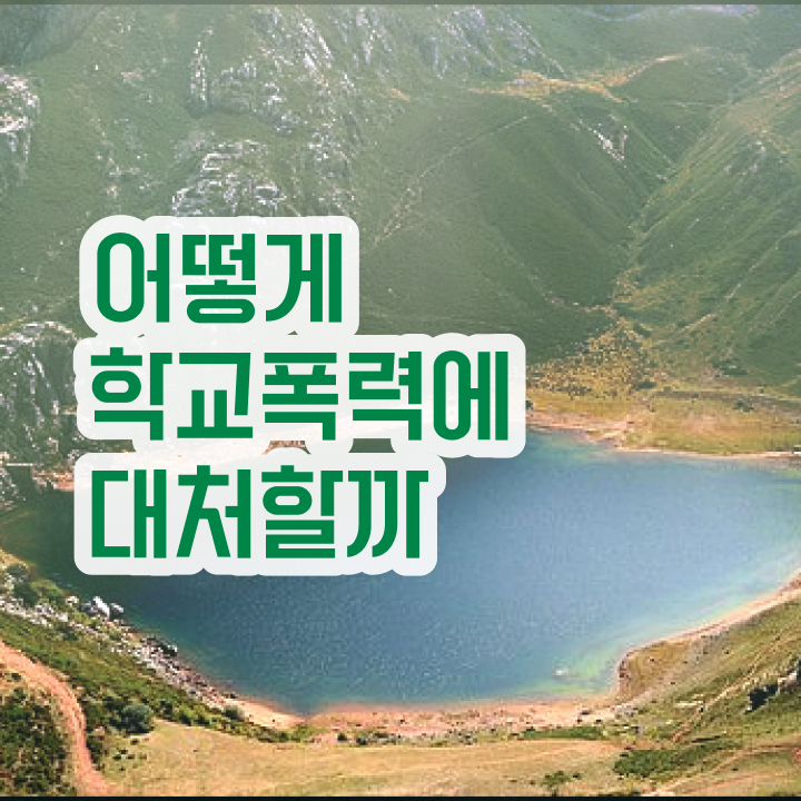  학교폭력 예방법 , 아동폭력예방상담사 자격증 2주 만에 시험준비 , 향후 전망