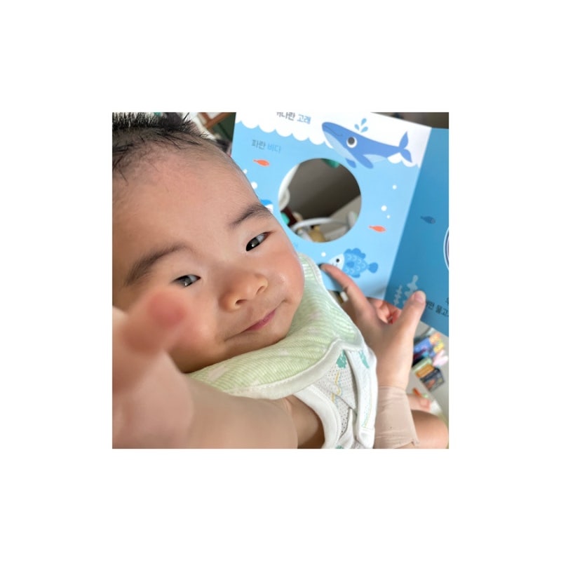 [육아용품] 블루래빗 소전집 오감 발달 첫 놀이감 내돈내산 후기