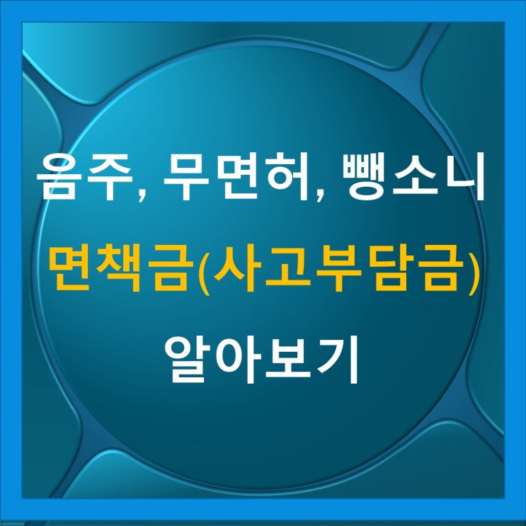 음주사고면책금, 무면허사고면책금, 뺑소니사고면책금 알아봅니다 음주사고면책금, 무면허사고면책금, 뺑소니사고면책금 알아봅니다