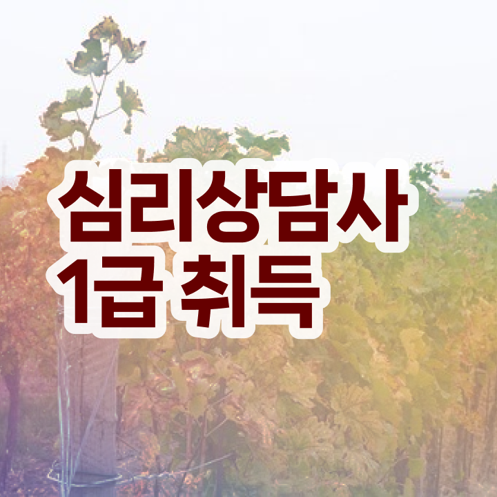  심리상담사1급자격증 , 심리상담사 자격증 간단하게 합격한 후기 요점정리