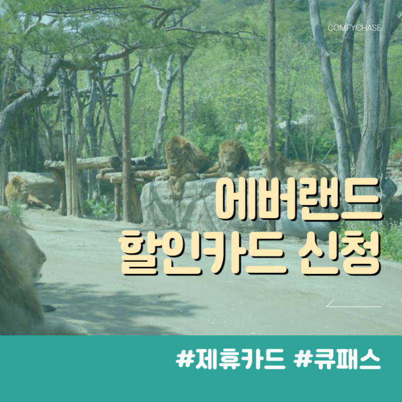 에버랜드 제휴카드 50% 할인 카드 큐패스 예약 방법