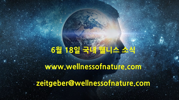  2024년 6월 18일 국내 웰니스 소식