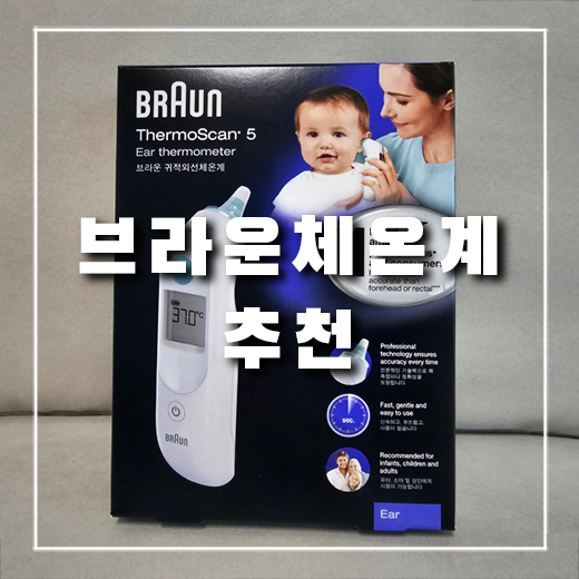  [체온계 리뷰] 브라운 체온계 IRT-6030 내돈내산 후기