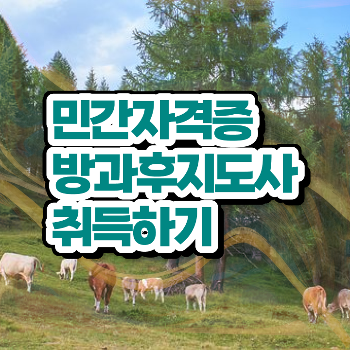  방과후교사되는법 , 방과후지도사 취득한 방법 및 활용방법