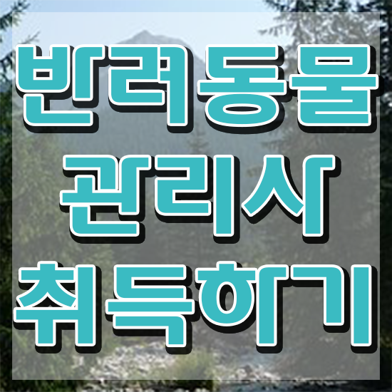  30대여자직업 , 반려동물관리사 자격증 학습한 후기 확인해보세요