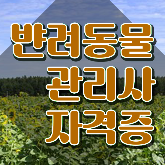  40대자격증 , 반려동물관리사 자격증 준비한 방법 전격분석