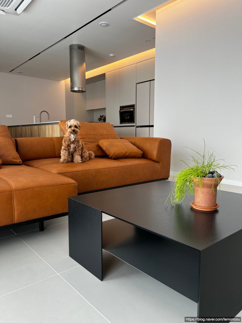 잭슨카멜레온(JACKSON CHAMELEON)_ 타탄 가죽소파(Tartan Sofa - Leather) & 칸테 테이블(Kante Sofa Table) 뜨....