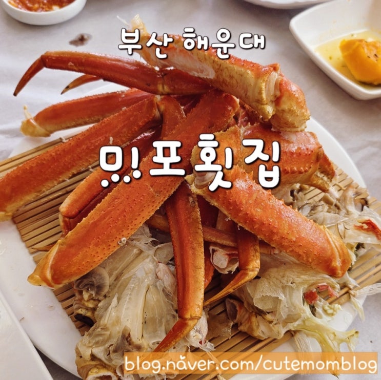  부산 해운대 횟집 맛집 / 미포횟집 씨랜드회센터