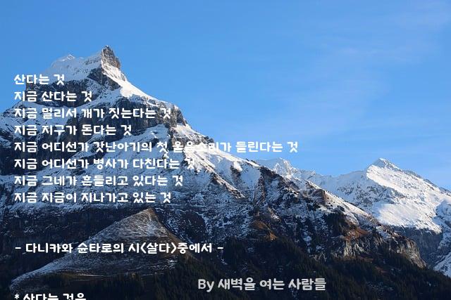 .......지금 .......지금