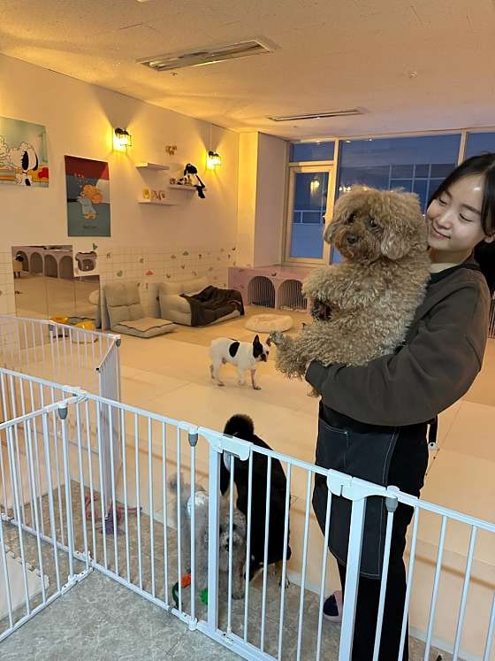 사진 7