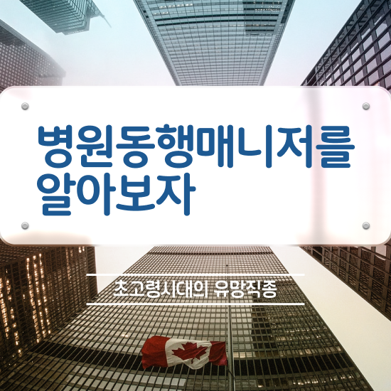  경단녀 자격증 병원동행매니저 자격증 온라인으로 간단히 합격한 후기