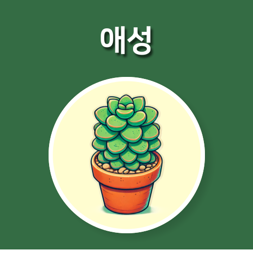  쉽게 키울 수 있는 다육식물 애성 관리 방법