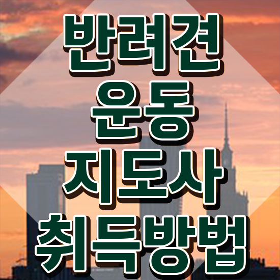  40대주부자격증 동영상으로 반려견운동지도사 합격한 팁