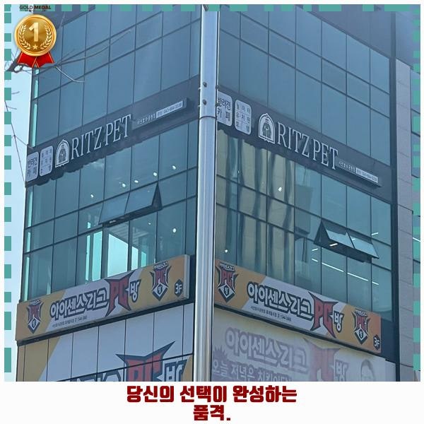 사진 7