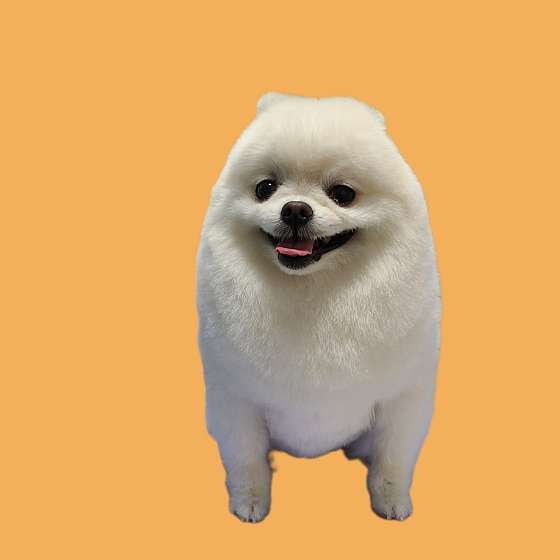 사진 2