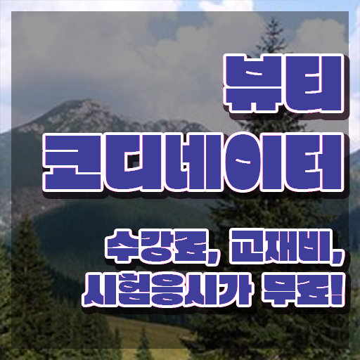  코디네이터 , 뷰티코디네이터 자격증 취득한 방법 정보 퍼펙트 요약
