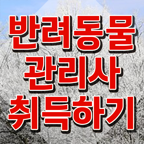  40대자격증 , 반려동물관리사 자격증 간단하게 준비한 방법 정리