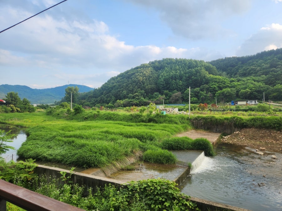 하겐나 사진 5