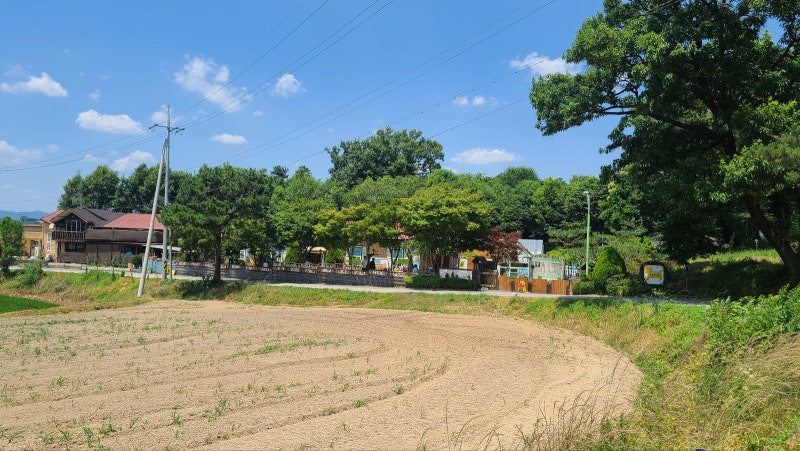 사진 2