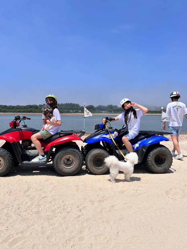  안면도여행, 애견동반 ATV로 최고의 경험 [ 무지개레포츠 ]