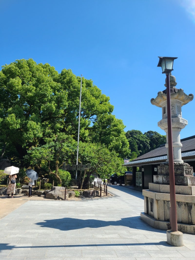 후쿠오카 다자이후 텐만구,텐만구 오모테산도 등 : 네이버 블로그