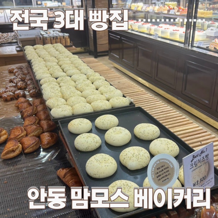  [안동 카페] 맘모스 베이커리