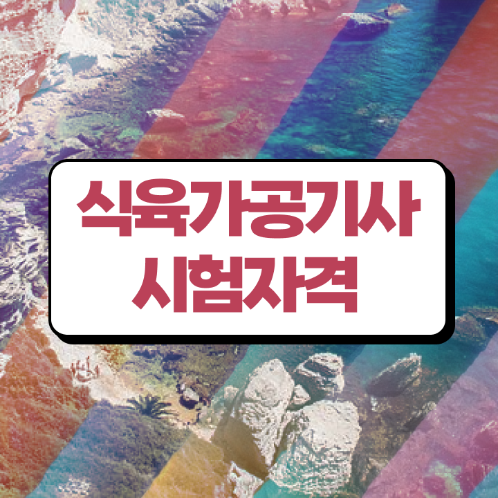  식육가공기사 필기 시험 식육가공기사 시험자격 집에서 온라인으로 15주 동안 준비한 후기