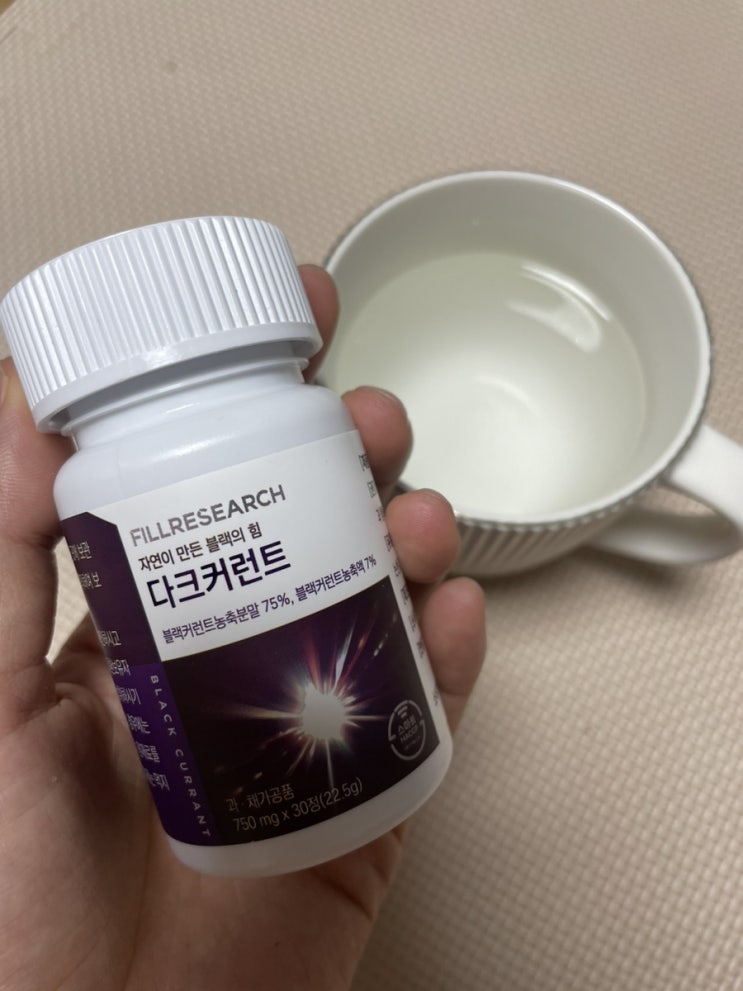 필드리서치 눈밑다크서클 원인 개선제 안토시아닌 블랙커런트 추천